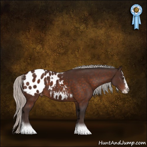 Horse Color:Silver Brown Sabino Splash Tobiano Blanket Rabicano 