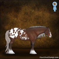 Horse Color:Silver Brown Sabino Splash Tobiano Blanket Rabicano