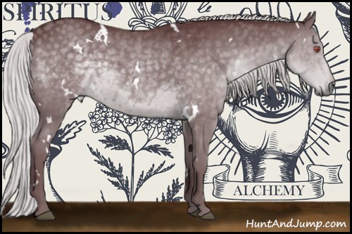 Horse Color:White Spotted Chocolate Silver Black Chinchilla 