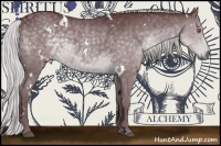 Horse Color:White Spotted Chocolate Silver Black Chinchilla 