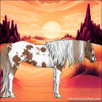Horse Color:White Spotted Chestnut Tobiano 