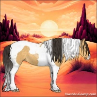 Horse Color:Buckskin Dun Tobiano 