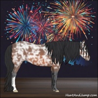 Horse Color:Bay Ice 