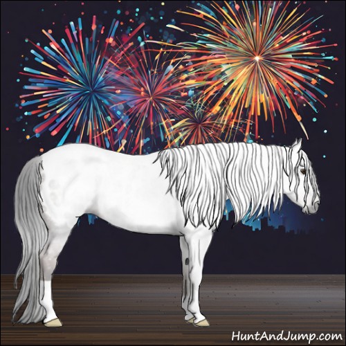 Horse Color:Gray Bay Roan Appaloosa 