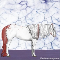 Horse Color:Watercolor White Spotted Liver Chestnut 