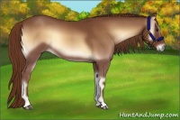 Horse Color:Red Onyx 