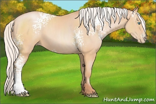 Horse Color:White Spotted Silver Buckskin Pearl Sabino 