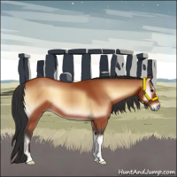 Horse Color:Bay Onyx 