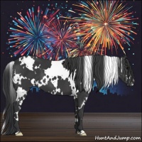 Horse Color:White Spotted Black