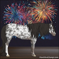Horse Color:Liver Chestnut Ice 
