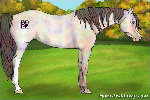 Horse Color:Nacre Amber Champagne Dun