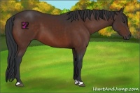Horse Color:Brown 