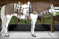 Horse Color:Silver Black Splash