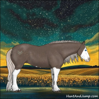 Horse Color:Silver Black Splash 