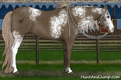 Horse Color:White Spotted Chocolate Palomino