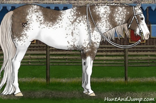 Horse Color:White Spotted Chocolate Palomino Splash Rabicano 