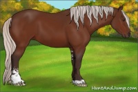 Horse Color:Silver Brown Sabino 