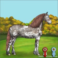 Horse Color:Painted White Spotted Chocolate Blue Onyx Ice Pearl Sabino Splash Brindle 