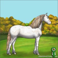 Horse Color:Painted White Spotted Chocolate Grullo Pearl Onyx Splash Tobiano Appaloosa 
