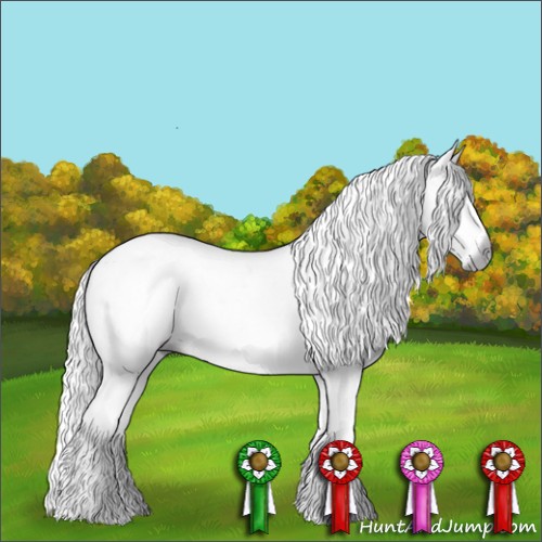 Horse Color:Gray Silver Black Sabino 