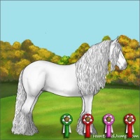 Horse Color:Gray Silver Black Sabino 