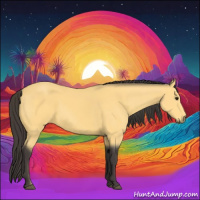 Horse Color:Buckskin 