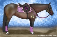 Horse Color:Brown Rabicano