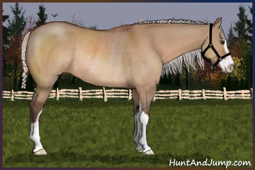 Horse Color:Silver Brown Dun Sabino Rabicano 