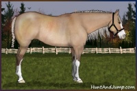 Horse Color:Silver Brown Dun Sabino Rabicano 