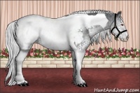 Horse Color:White Spotted Silver Black Chinchilla Tobiano Appaloosa 