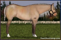 Horse Color:Silver Brown Dun Rabicano 
