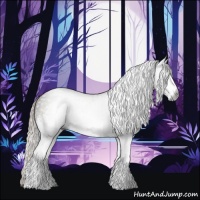 Horse Color:Gray White Spotted Silver Black 