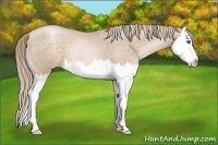 Horse Color:Chocolate Palomino Roan Pearl Splash 