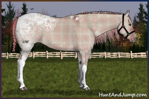 Horse Color:Plaid  Liver Red Dun Ice Mushroom Tobiano 