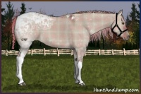 Horse Color:Plaid  Liver Red Dun Ice Mushroom Tobiano 