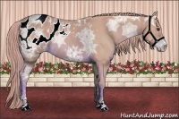 Horse Color:Watercolor Chestnut Ice Sabino Appaloosa Rabicano 