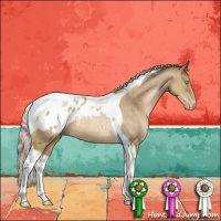 Horse Color:Silver Smoky Black Pearl Tobiano Appaloosa Rabicano