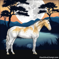 Horse Color:White Spotted Silver Buckskin Tobiano 