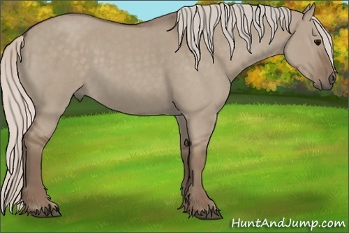 Horse Color:Silver Grullo Roan 