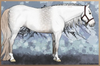 Horse Color:Gray Chocolate Palomino