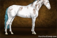 Horse Color:Painted White Spotted Chestnut Ice Appaloosa Rabicano