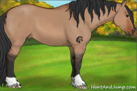Horse Color:Bay Dun