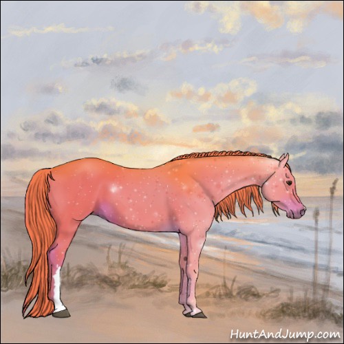 Horse Color:Watercolor Liver Chestnut 