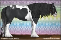 Horse Color:Black Sabino Splash Tobiano 