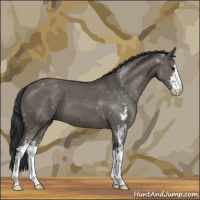 Horse Color:Grullo Sabino 