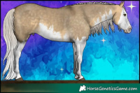 Horse Color:White Spotted Silver Buckskin Dun Splash 