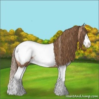 Horse Color:Liver Chestnut Snowdrop Pearl Splash Snowcap 