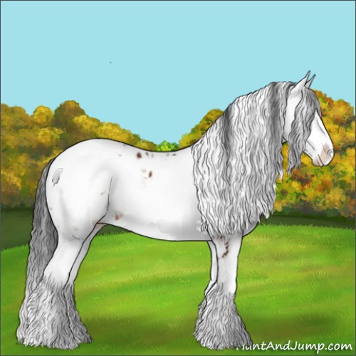 Horse Color:Brown Sabino Appaloosa 