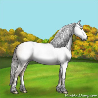 Horse Color:Gray Sable Champagne Dun Frame Varnish