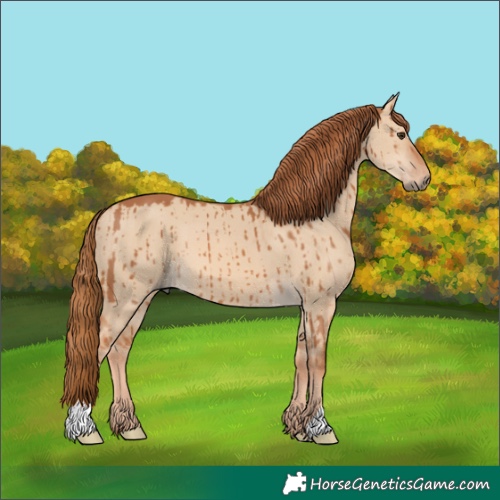 Horse Color:Red Dun Brindle 